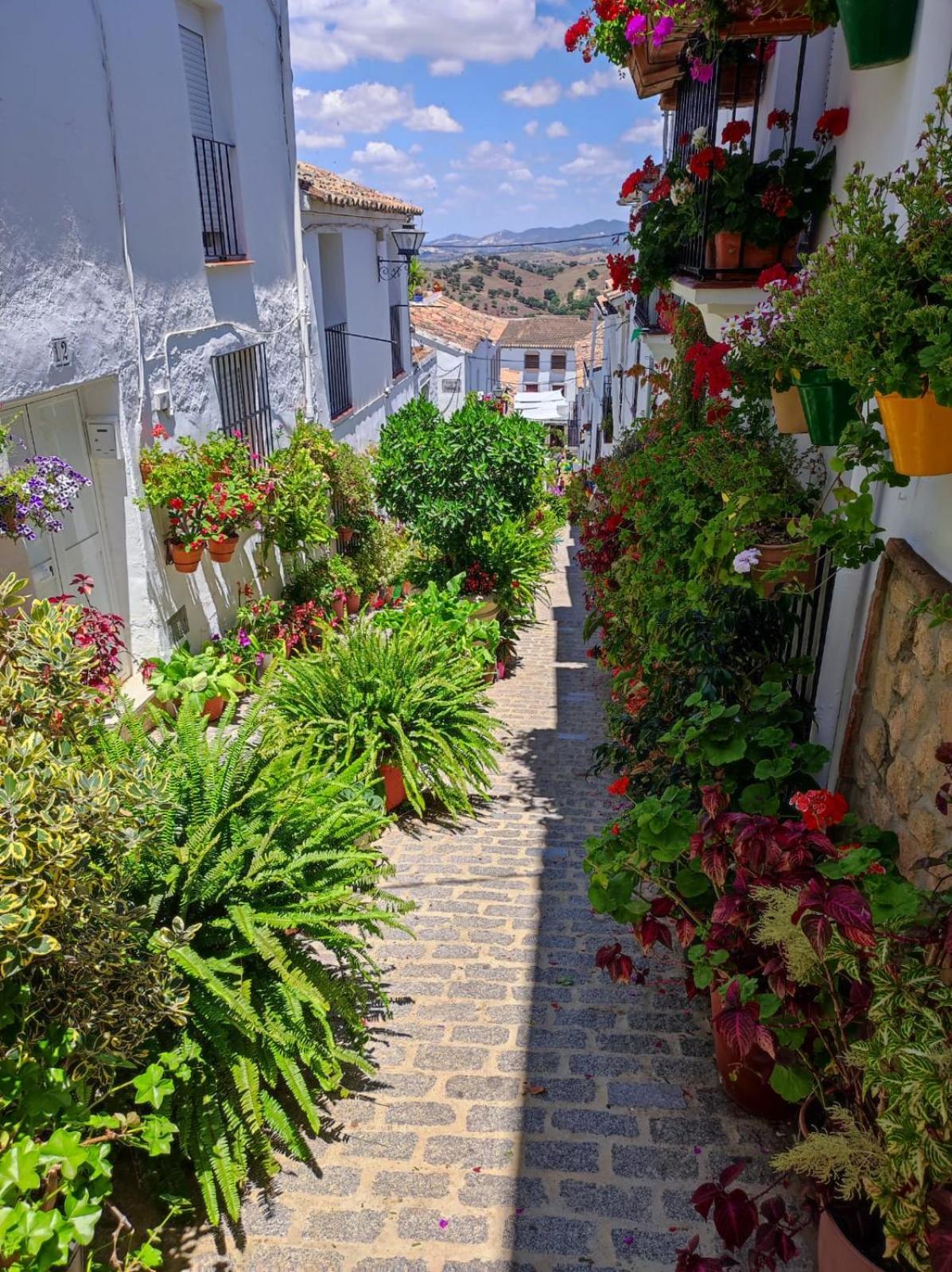 Villa Isabel El Gastor Esterno foto